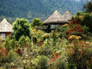 Baliem Valley Resort Wamena Eksteriør bilde